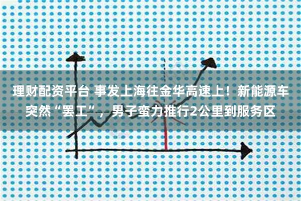 理财配资平台 事发上海往金华高速上！新能源车突然“罢工”，男子蛮力推行2公里到服务区